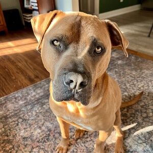 Meet your Posher, Lydia